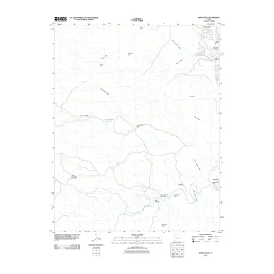 2011 Map of White Hills, 2011 Print