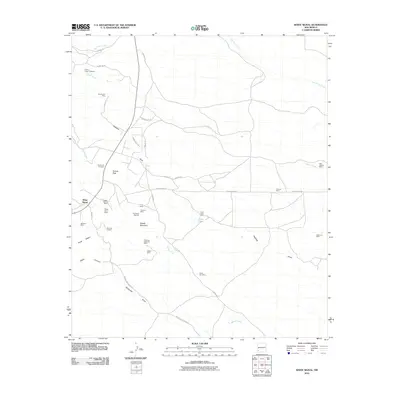 2010 Map of White Signal, 2010 Print