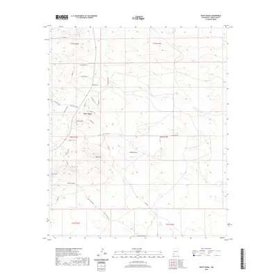 2020 Map of White Signal, 2020 Print