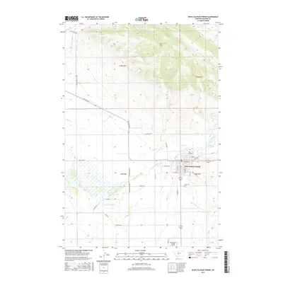 2017 Map of White Sulphur Springs, 2017 Print