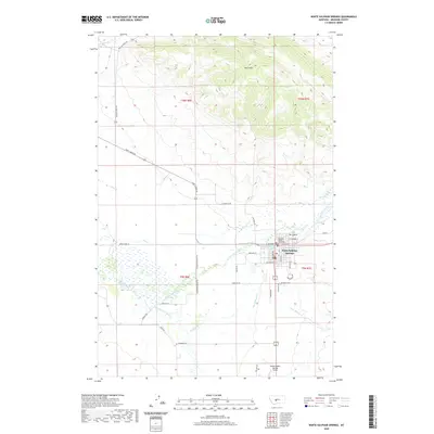 2020 Map of White Sulphur Springs, 2020 Print