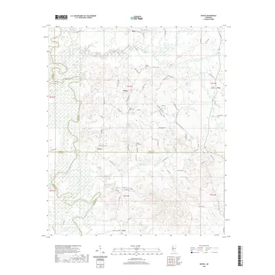 2020 Map of Whites, 2020 Print