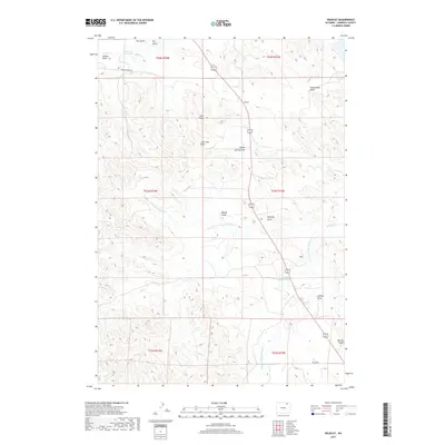2017 Map of Wildcat, 2017 Print