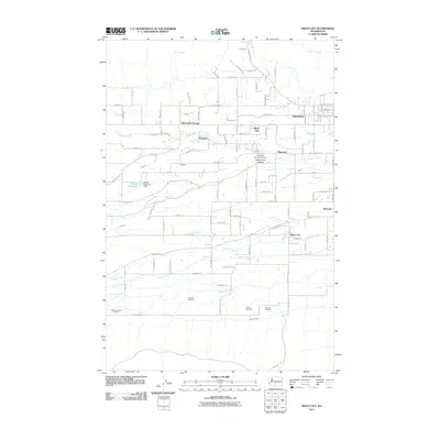 2011 Map of Wiley City, 2011 Print