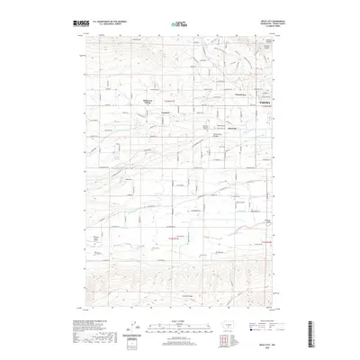 2020 Map of Wiley City, 2020 Print