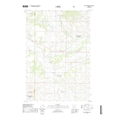 2020 Map of Willow Crossing, 2020 Print