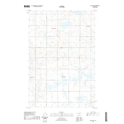 2020 Map of Willow Lake, 2020 Print