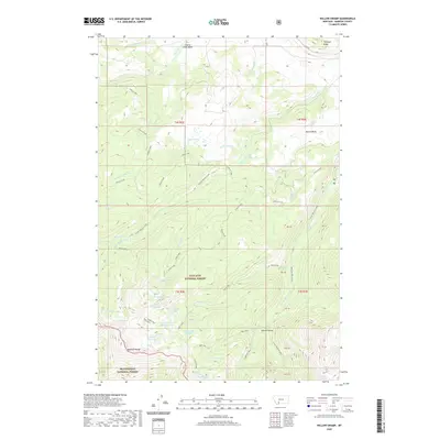 2020 Map of Willow Swamp, 2020 Print