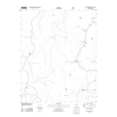 2011 Map of Witts Springs, 2011 Print