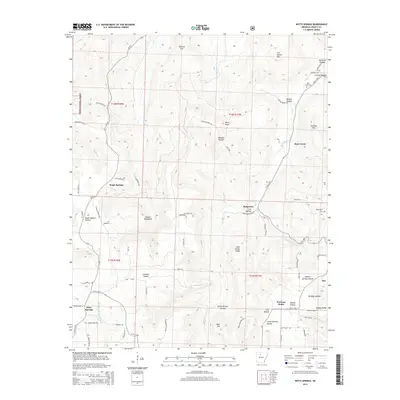 2014 Map of Witts Springs, 2014 Print