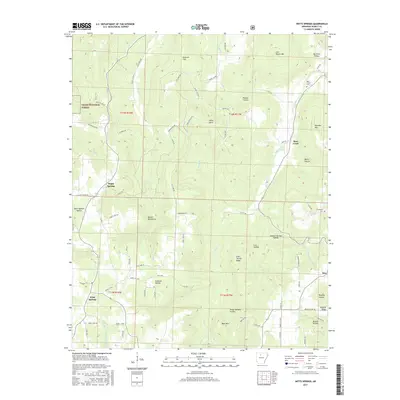 2017 Map of Witts Springs, 2017 Print