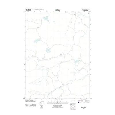 2011 Map of Wolf Lake, 2011 Print