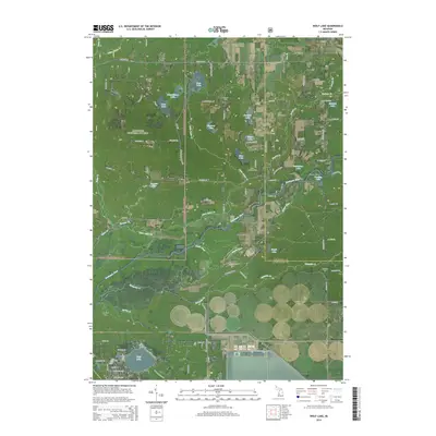 2014 Map of Wolf Lake, 2014 Print