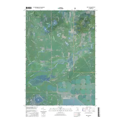 2017 Map of Wolf Lake, 2017 Print