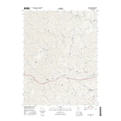 2016 Map of Wolf Summit, 2016 Print