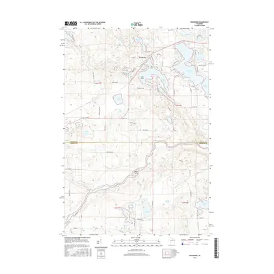2015 Map of Woodboro, 2015 Print