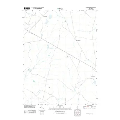 2011 Map of Woodmansie, 2011 Print