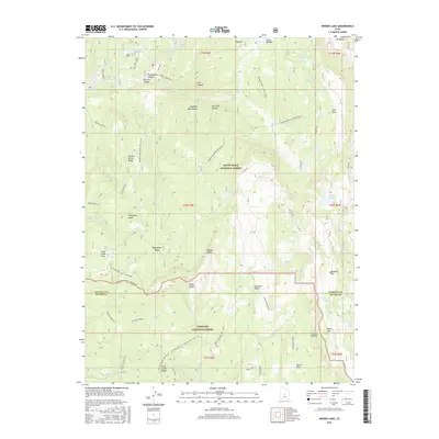 2017 Map of Woods Lake, 2017 Print