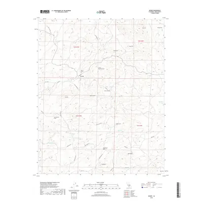 2018 Map of Woody, 2018 Print