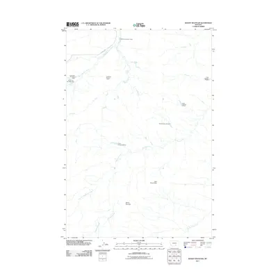 2011 Map of Woody Mountain, 2011 Print