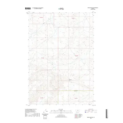 2020 Map of Woody Mountain, 2020 Print
