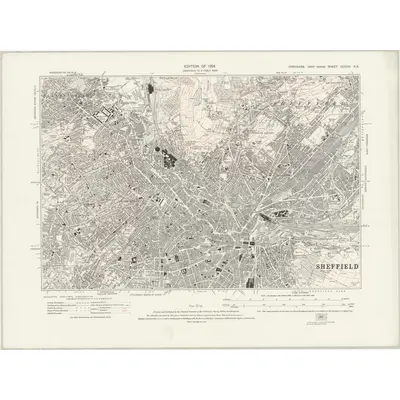 1920 Map of Yorkshire CCXCIV.NE, 1924 Print