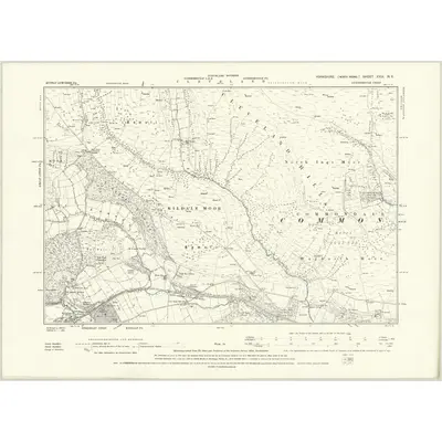 1892 Map of Yorkshire XXIX.NE, 1895 Print
