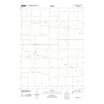 2010 Map of Young America, 2010 Print