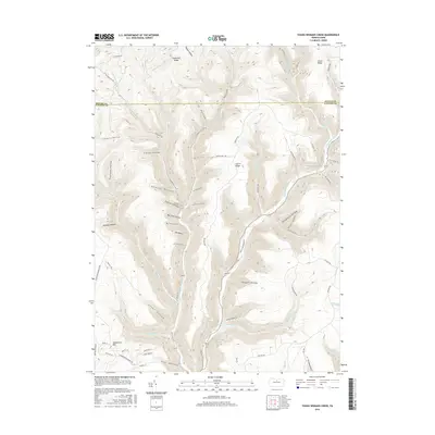 2016 Map of Young Womans Creek, 2016 Print