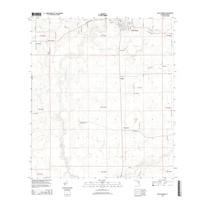 2015 Map of Zolfo Springs, 2015 Print