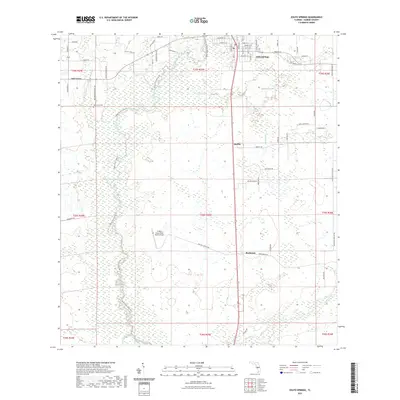 2021 Map of Zolfo Springs, 2021 Print